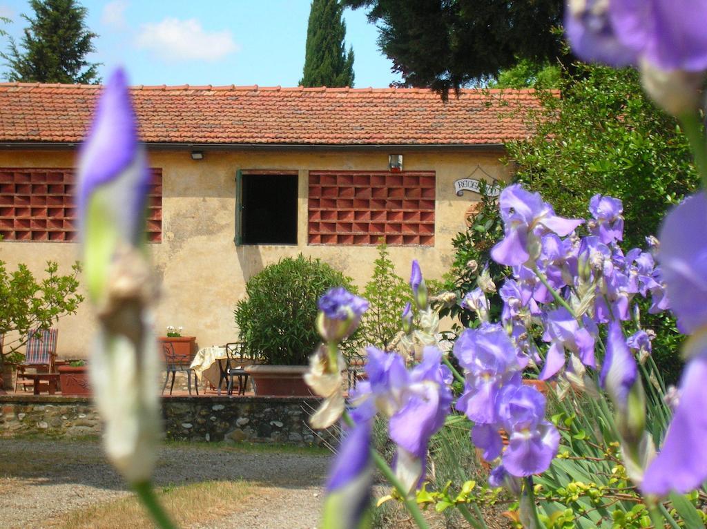 Agriturismo Le Pianore Montespertoli Ngoại thất bức ảnh